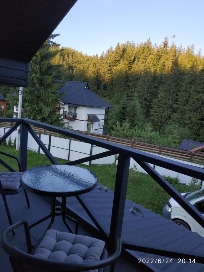 U Anastasii I Sofii Bilya Richki Country house *