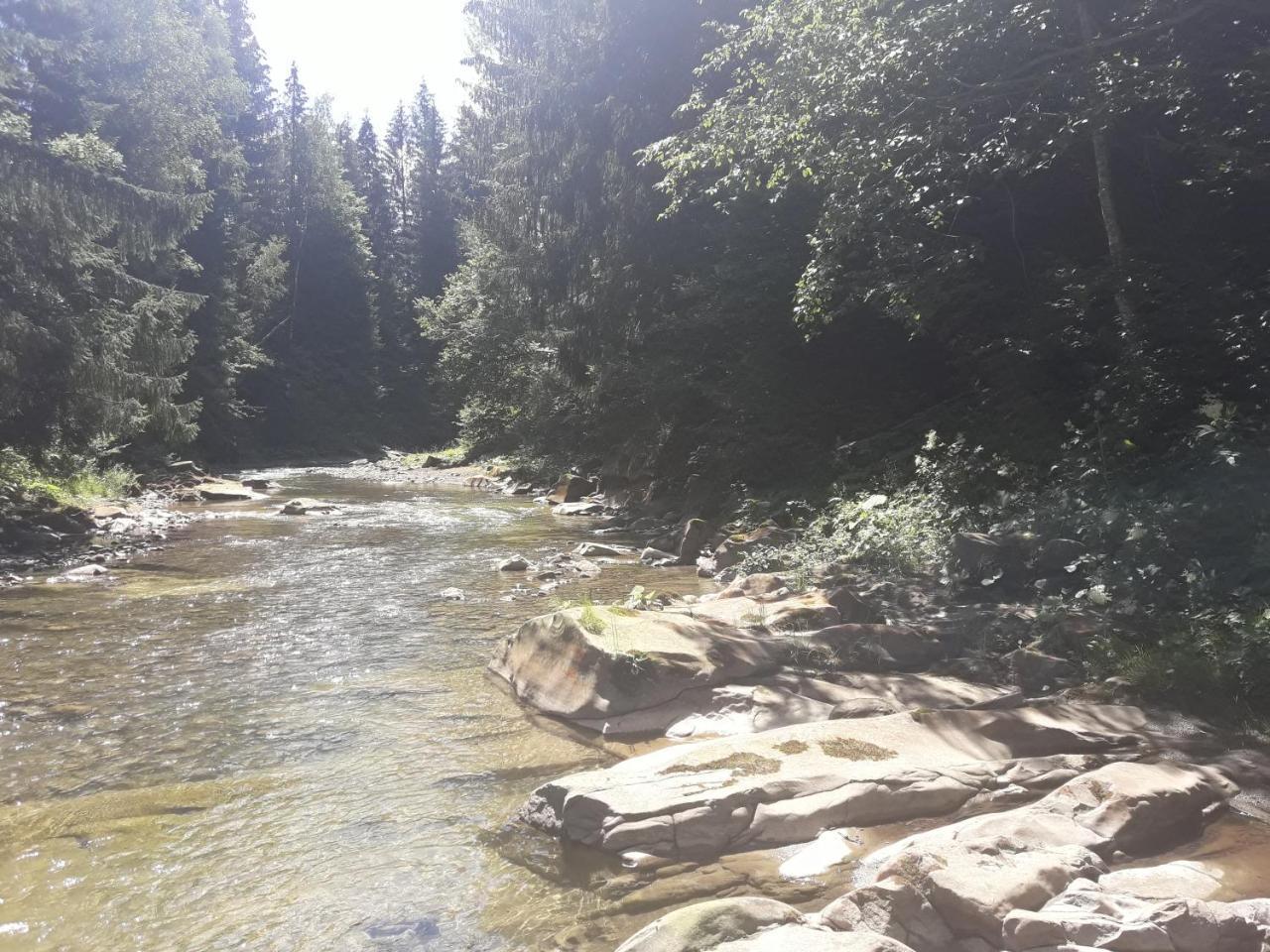 U Anastasii I Sofii Bilya Richki Mykulychyn
